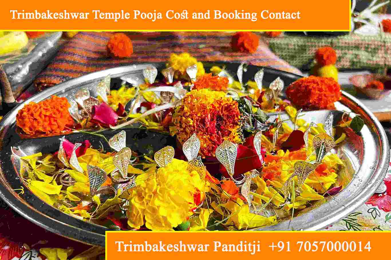 Trimbakeshwar Temple Pooja Cost and Booking Contact