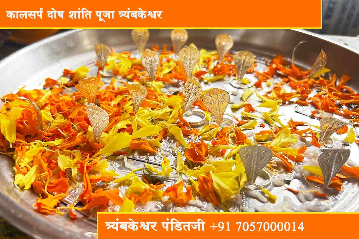 कालसर्प दोष शांति पूजा त्र्यंबकेश्वर