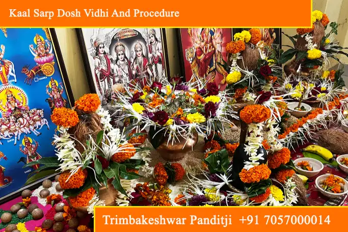Kaal Sarp Dosh Vidhi And Procedure