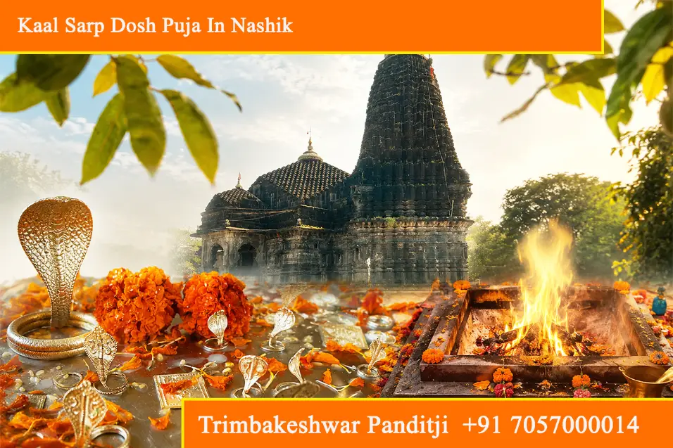 Kaal Sarp Dosh Puja In Nashik